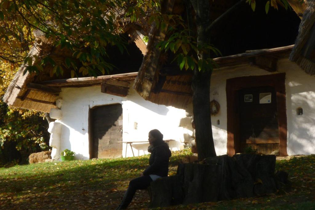Vadszolo Vendeghaz Διαμέρισμα Cák Εξωτερικό φωτογραφία